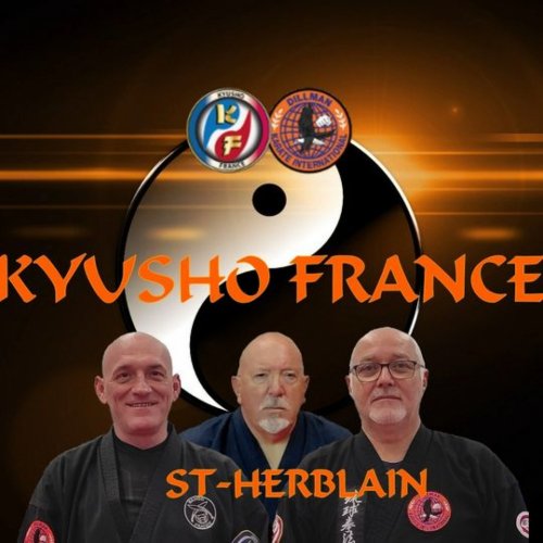 Stage découverte Kyusho